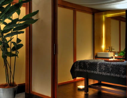 Pure Energy Concept Spas - Redcliffe Tourism 2