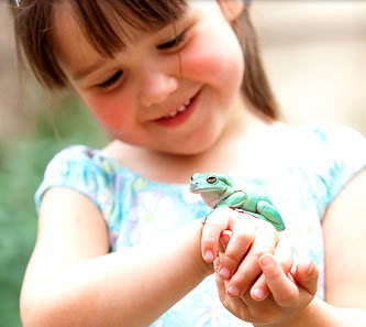 Reptile Encounters - Redcliffe Tourism 1