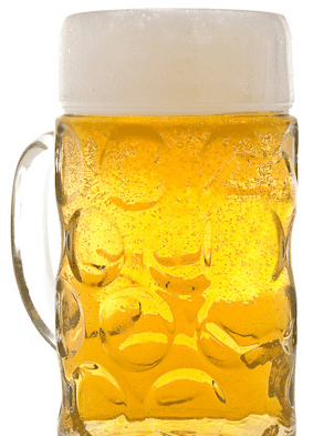 Duckstein Brewery - Redcliffe Tourism 4
