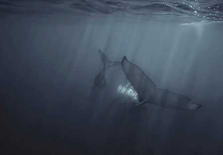 Eleven40 Gallery - Redcliffe Tourism 4