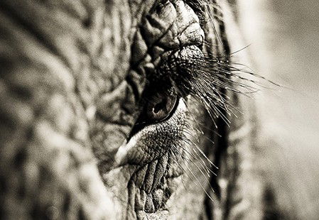 Eleven40 Gallery - Redcliffe Tourism 5