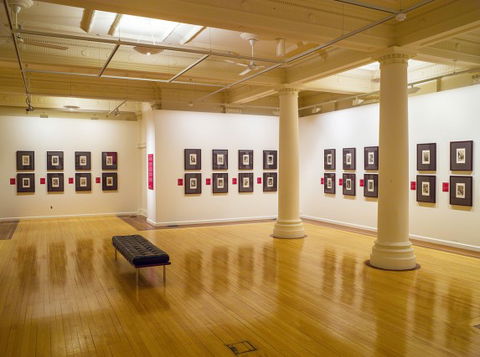 Cairns Regional Gallery - Redcliffe Tourism 2