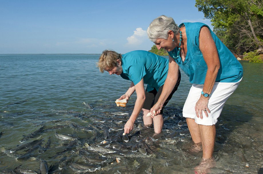  Redcliffe Tourism