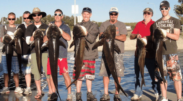BKs Gold Coast Fishing Charters - Redcliffe Tourism 1