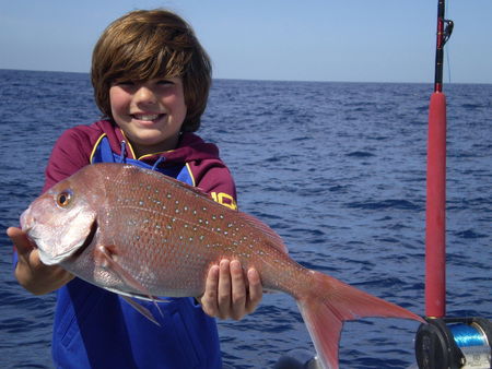 Mills Charters Fishing And Whale Watch Cruises - Redcliffe Tourism 4