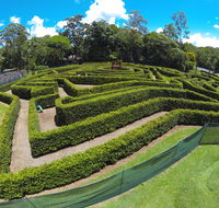 Bellingham Maze - Redcliffe Tourism