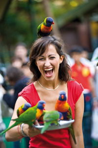 Currumbin Wildlife Sanctuary - Redcliffe Tourism 10