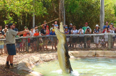 Billabong Sanctuary - Redcliffe Tourism 2