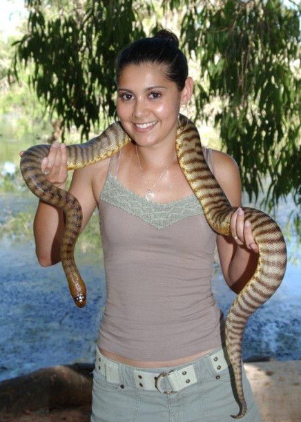 Billabong Sanctuary - Redcliffe Tourism 4