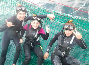 Dolphin Swim Australia - Redcliffe Tourism 7