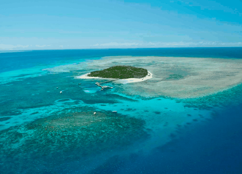 Big Cat Green Island Reef Cruises - Redcliffe Tourism 1