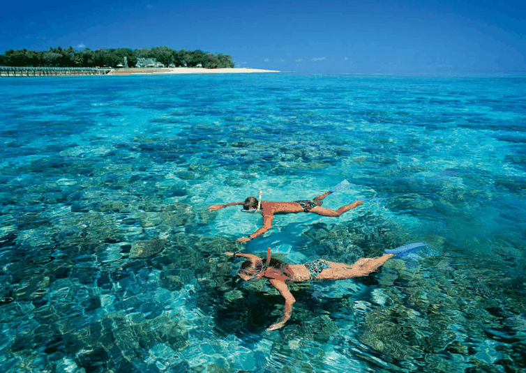 Big Cat Green Island Reef Cruises - Redcliffe Tourism 4
