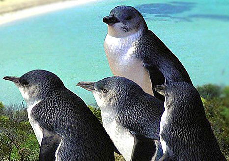 Rockingham Wild Encounters - Redcliffe Tourism 0
