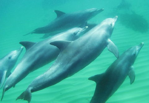 Rockingham Wild Encounters - Redcliffe Tourism 4