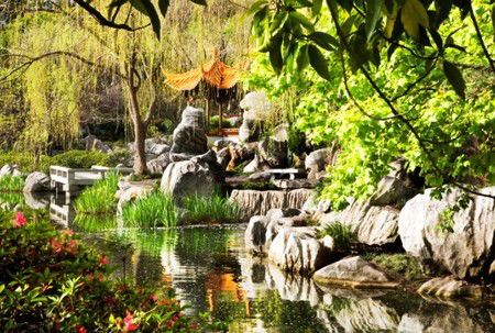Chinese Garden Of Friendship - Redcliffe Tourism 3