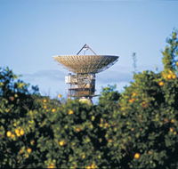 Big Dish - Redcliffe Tourism