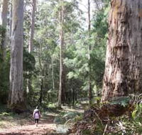 Warren River Loop Walk - Redcliffe Tourism