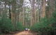 Boranup Drive - thumb 0