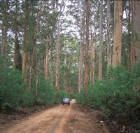 Boranup Drive - Redcliffe Tourism