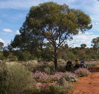 Karlkurla Bushland Park - Redcliffe Tourism