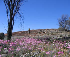 Kwelkan WA Redcliffe Tourism