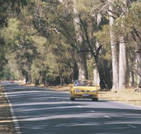 Ludlow Tuart Forest - Redcliffe Tourism