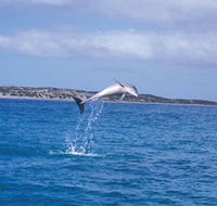 Steep Point - Redcliffe Tourism