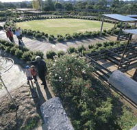 Kojonup Rose Maze - Redcliffe Tourism
