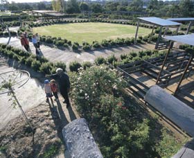 Kojonup Rose Maze - Redcliffe Tourism 0
