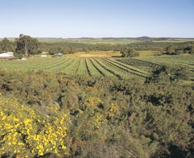Chapman Valley Scenic Drive - Redcliffe Tourism 0