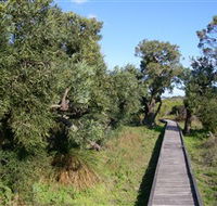 Kepwari Trails Wetland Wonderland - Redcliffe Tourism