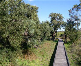 Kepwari Trails Wetland Wonderland - Redcliffe Tourism 0