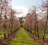 Raeburn Orchards - Redcliffe Tourism