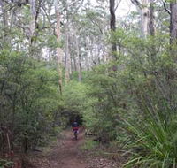 Margaret River Rails Trail - Redcliffe Tourism