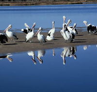 Peel Region Canoe Trails - Redcliffe Tourism