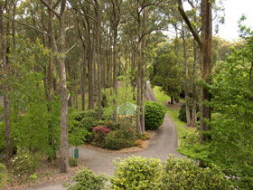 Mount Lofty Botanic Garden - Redcliffe Tourism 0