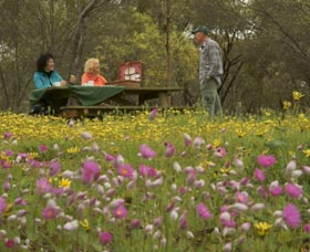 Gwambygine Park - Redcliffe Tourism 0