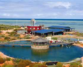 Ocean Park Aquarium - Redcliffe Tourism 0