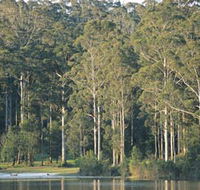 Big Brook Dam - Redcliffe Tourism