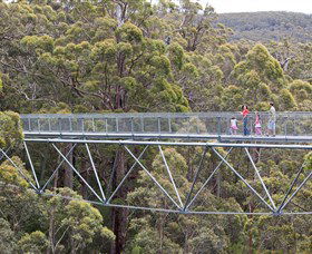 Walpole Wilderness Discovery Centre - Redcliffe Tourism 0