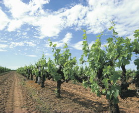 Nillup WA Redcliffe Tourism