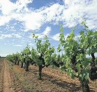 Blackwood Meadery - Redcliffe Tourism