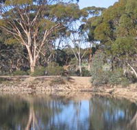 Merredin Railway Dam - Redcliffe Tourism