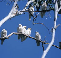 Carawine Gorge - Redcliffe Tourism