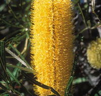 Moore River National Park - Redcliffe Tourism