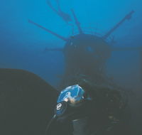 Swan Dive Wreck - Redcliffe Tourism