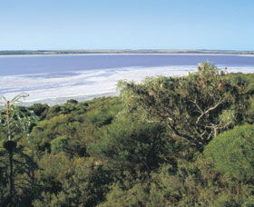 Pink Lake - Redcliffe Tourism 0