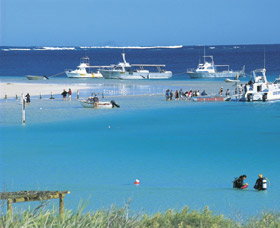 Bill's Bay - Redcliffe Tourism 0