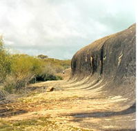 Totadgin Dam Reserve - Redcliffe Tourism
