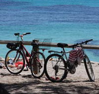 Parker Point Marine Snorkel Trail - Redcliffe Tourism
